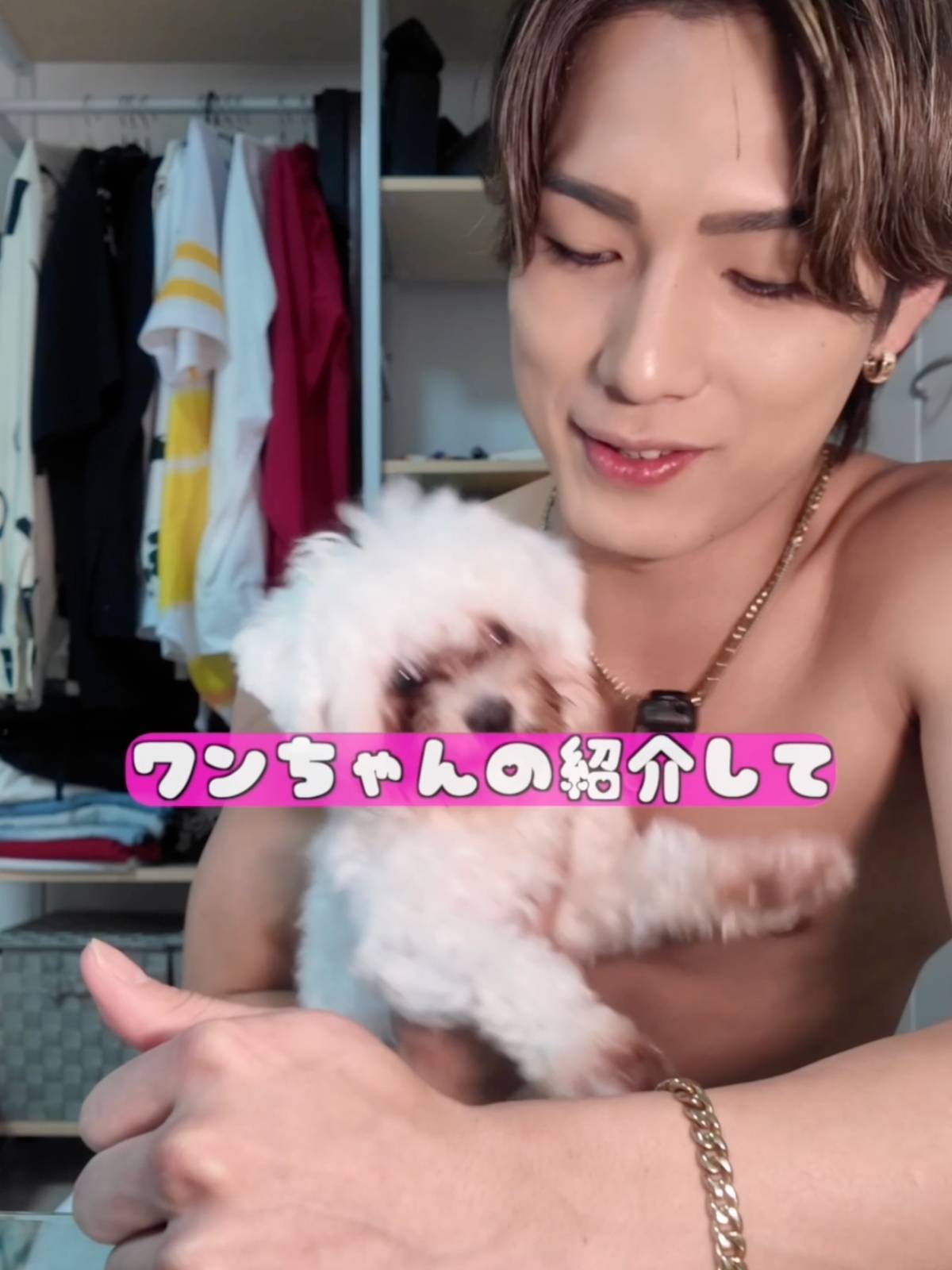 カエデのワンちゃん紹介して